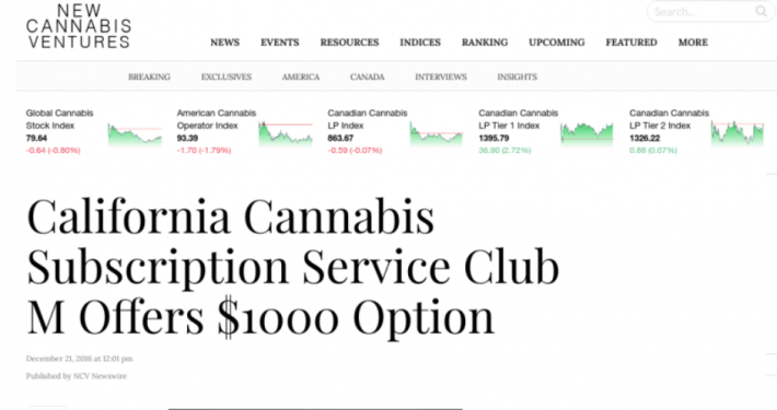Cannabis Startup PR